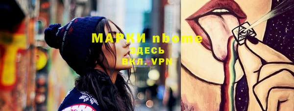 apvp Алзамай