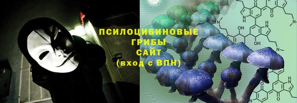 apvp Алзамай