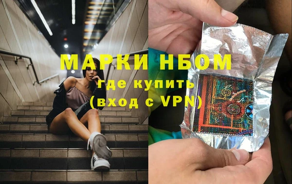 apvp Алзамай
